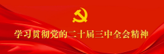 程力汽車集團(tuán)學(xué)習(xí)貫徹中央經(jīng)濟工作會議精神
